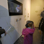 Nens i nenes visitant el Museu de Ciències Naturals de Granollers